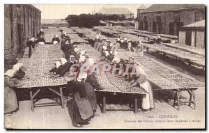 Old Postcard Quiberon Women putting their plants to dry Sardines Folklore