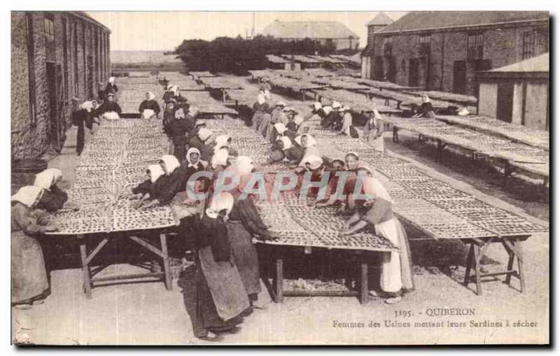 Old Postcard Quiberon Women putting their plants to dry Sardines Folklore