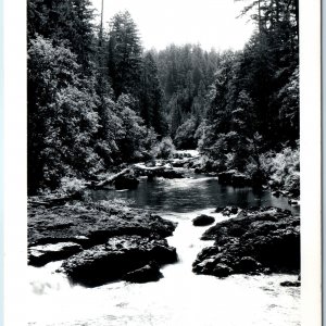 c1950s Linn, Marion Co CA RPPC Santiam River Tributary of Willamette Photo A164