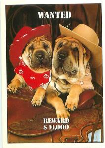 Wanted Dogs Cowboy Comic Novelty on Saddle Bandannas   Postcard  # 8208