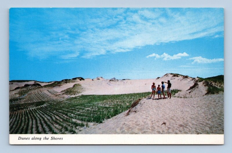 People on Sandy Beach Cape Cod Massachusetts MA UNP Chrome Postcard P6