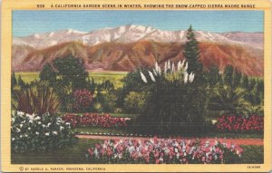 USA California Garden Scene In Winter Linen Postcard 09.46