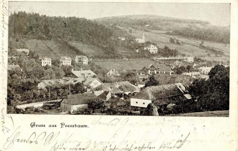 Austria - Gruss aus Pressbaum  (Bird's eye view of town)