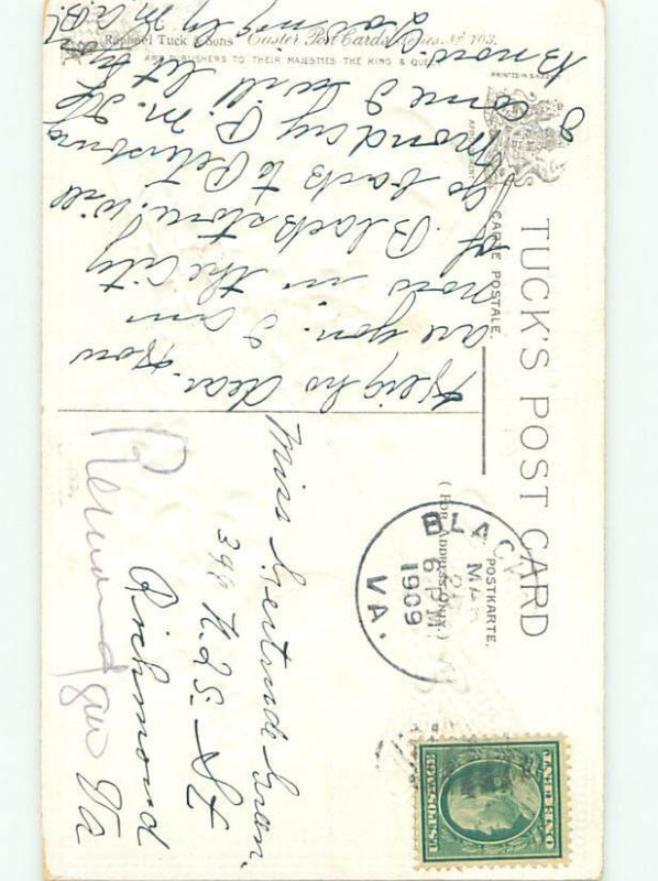 Divided-Back BIRDS SCENE Pretty Postcard AA8829