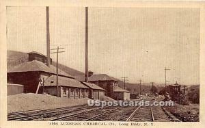 The Luzerne Chemical Co Long Eddy NY Unused