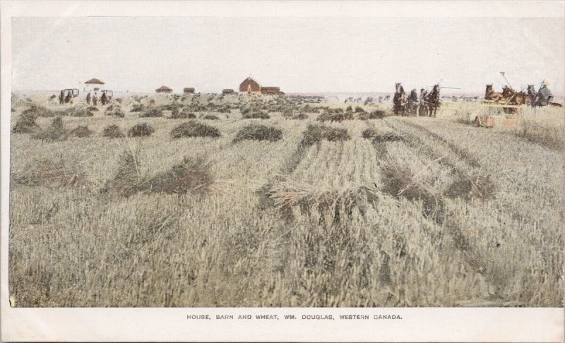 Western Canada House Barn Wheat Wm Douglas Free Farms Immigration Postcard H29