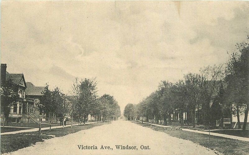 C-1910 Canada Victor Avenue Windsor Ontario Macfarlane Postcard 8225