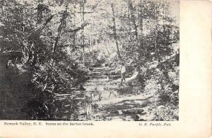 Newark Valley New York Barber Brook Scenic View Antique Postcard K89192