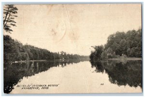 1912 River Slumber Bluffs Lake Trees Saugatuck Michigan Vintage Antique Postcard 
