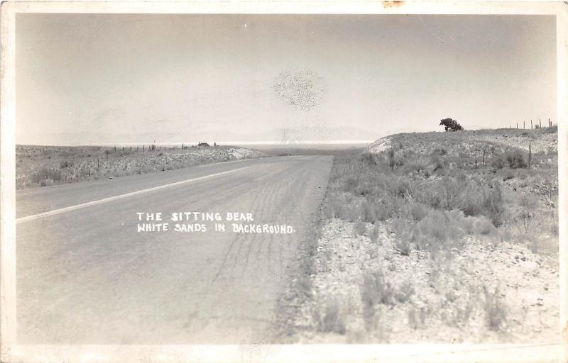 B16/ White Sands Dunes Michigan Mi Real Photo RPPC Postcard Sitting Bear c40s