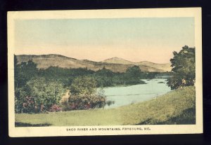 Freyburg, Maine/ME Postcard, View Of Saco River & White Mountains