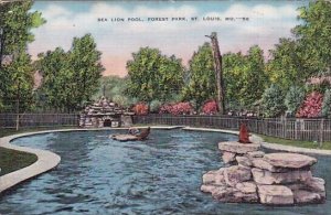 Sea Lion Pool Forest Park Saint Louis Missouri 1938