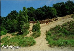 Continental Postcard Van Buren State Park, Michigan CF3