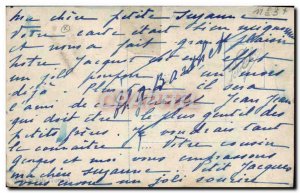 Old Postcard Cat Cats Kitten