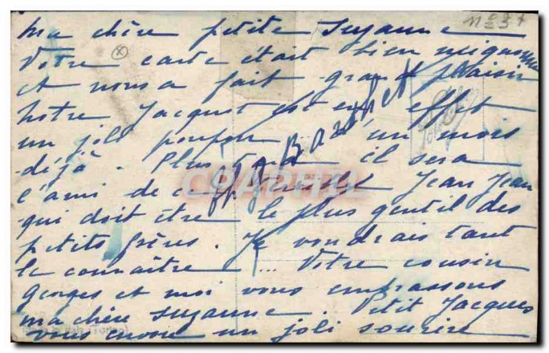 Old Postcard Cat Cats Kitten