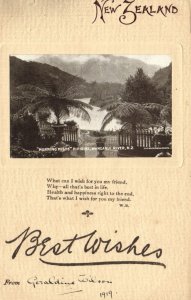 PC NEW ZEALAND, MORNING MISTS, PIPIRIKI, WANGANUI, Vintage Postcard (b44697)