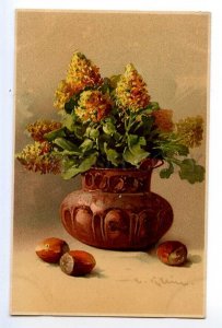 497564 Catherine KLEIN Nuts FLOWERS in Vase Vintage postcard Meissner #1524