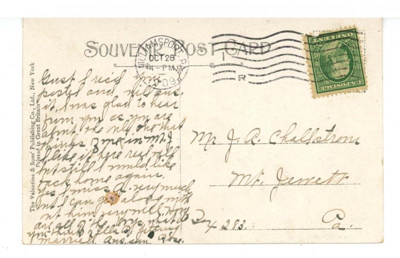 PA - Williamsport. City Hall & Soldiers' Monument ca 1909