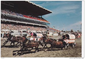 Calgary Exhibition and Stampede, Alberta, Canada, 50-70s