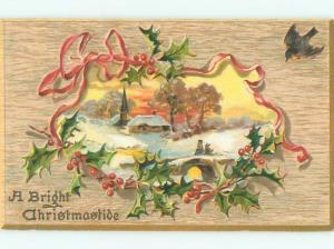 Divided-Back CHRISTMAS BIRDS SCENE Pretty Postcard W8518