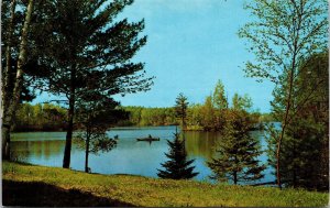 Fishing Birches Pines Lake Boat Postcard VTG UNP SUN Vintage Unused Chrome 