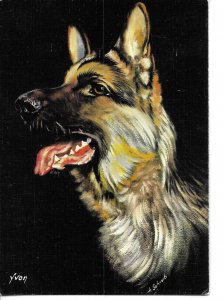 Animals. Dog, by Schrub  Modern French artist drawn postcard 1970s