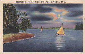 Greetings From Conesus Lake Livonia New York