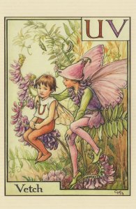 The Vetch Fairy From 1934 Flower Fairies Book Postcard