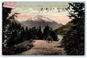 1907 Walter Peak L. Wakatipu from Lakeside Road New Zealand Antique Postcard