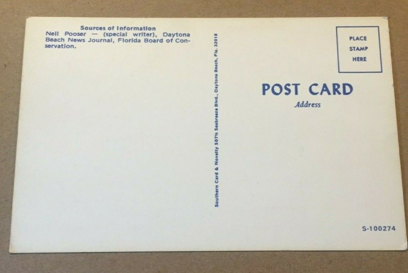 VINTAGE POSTCARD UNUSED DAYTONA BEACH, FLA - DRIVE ON IT ? SURE!!!