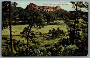 Postcard Custer SD c1910s Calamity Peak