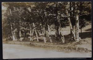 Road, Landscape ???? Grove Pleasant Home - RPPC (Azo)