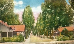 C.1920 Catalina Street, Avalon, Santa Catalina Island, CA Postcard P186