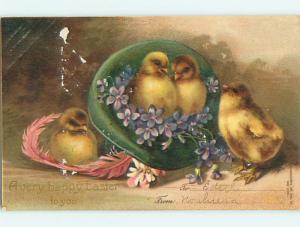 Pre-1907 easter CHICKS SIT IN GREEN HAT WITH FEATHER r2732