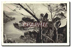 Old Postcard The Corniche d'Or to the Dramont Agay