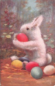 Easter Greetings Humanized Rabbit Holds Colorful Eggs Forest 1910 postcard  B924