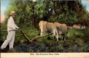 Oxen Pulling Plow, The Primitive Plow, Cuba Vintage Postcard P64