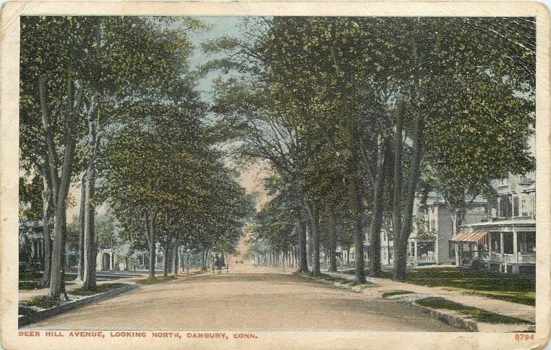 Dambury CT~Nice Homes, Buggy on Deer Hill Avenue~Looking North~1920s Postcard