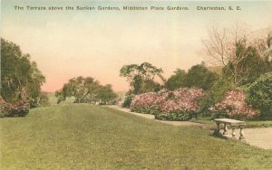 Charleston South Carolina Sunken Gardens Middleton 1920s Postcard 21-10090