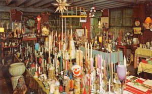 Canadensis Pennsylvania Eve's Candles, Photochrome Vintage Postcard U11521