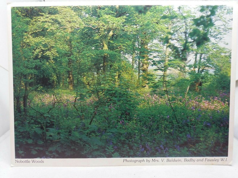 Vintage Postcard Nobottle Woods Northampton Northamptonshire 1980s