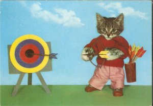 Humanized cats. Archery shooter  Modern German postcard