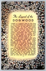 Legend Of The Dogwood, Vintage Linen Tichnor Postcard