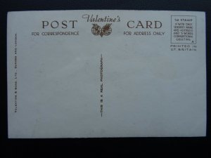 Glouc CHELTENHAM Dr. Wilson Statue & Prom showing Old Cars c1940's RP Postcard