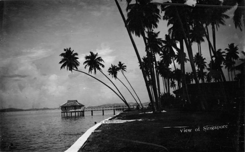 Singapore Malaysia Tropical Pier Hut Scenic Real Photo Antique Postcard K61109