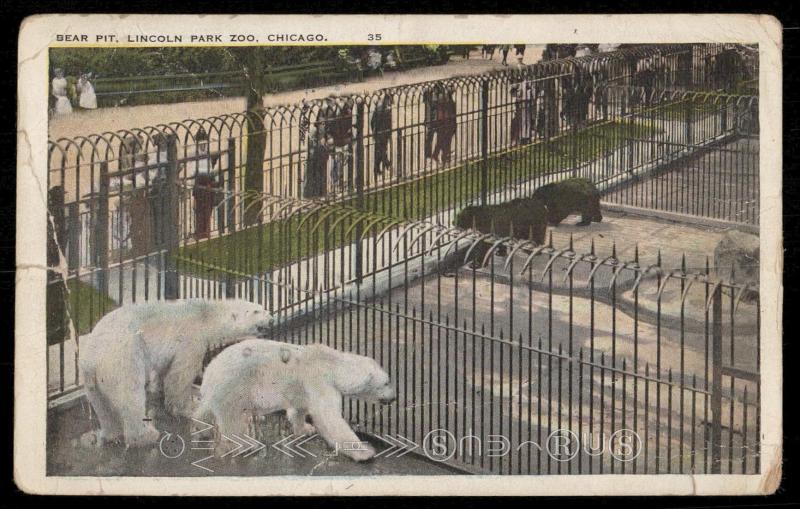 Bear Pit, Lincoln Park Zoo