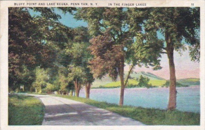 New York Penn Yan Bluff Point and Lake Keuka 1937