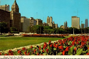 Illinois Chicago Grant Park Rose Garden