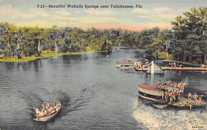 Beautiful Wakulla Springs Boats - Tallahassee, Florida FL  