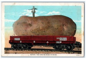 c1920's Giant Potato in a Train Cart Kind We Raise Maine ME Antique Postcard